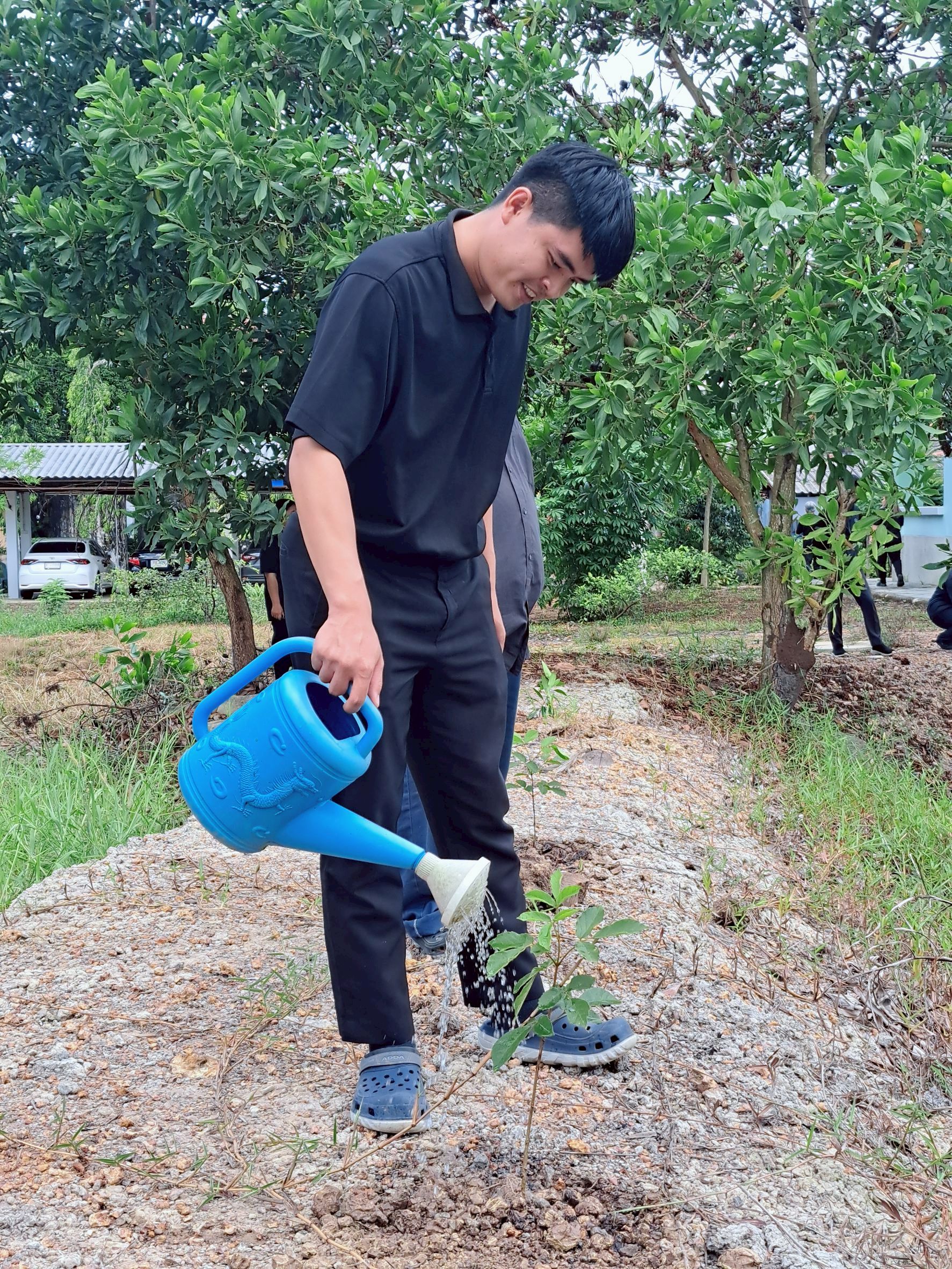title - กิจกรรมวันต้นไม้ประจำปีของชาติ พ.ศ.2569